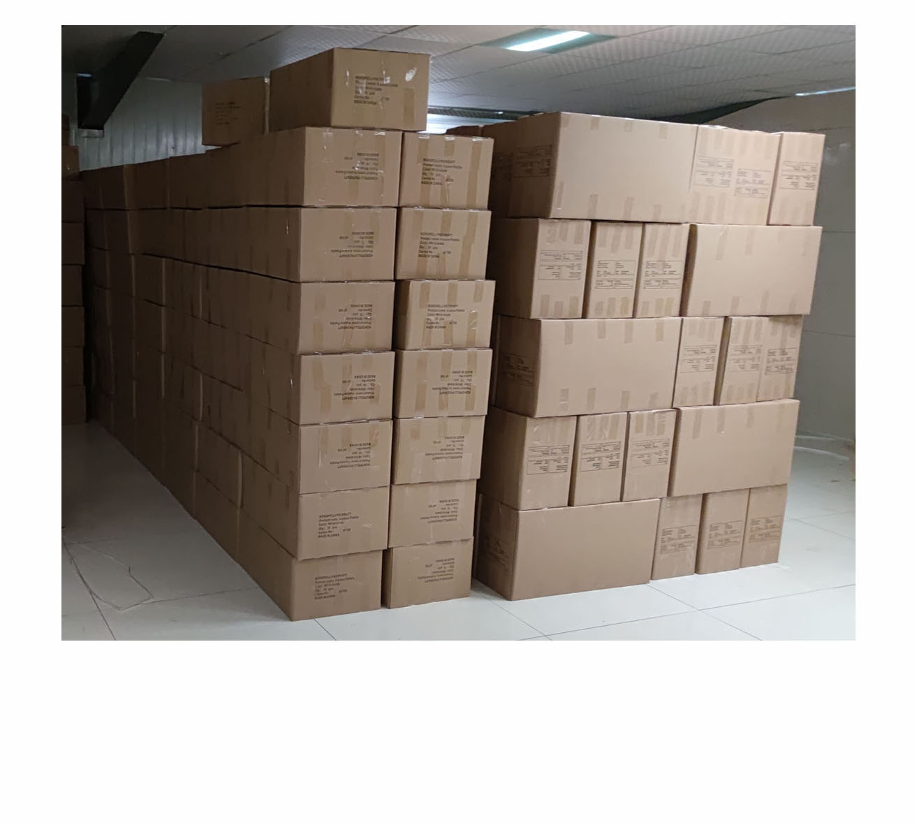 kayak paddle package